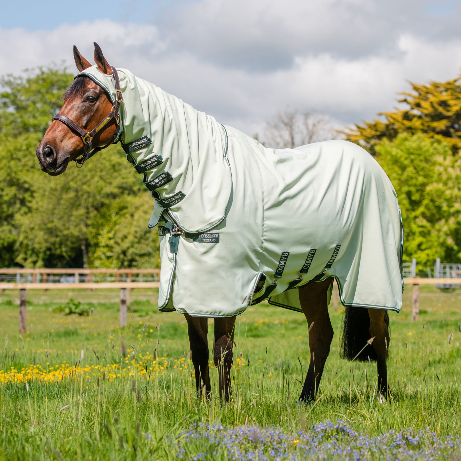 Rambo Hoody Ekzemerdecke mit Halsteil