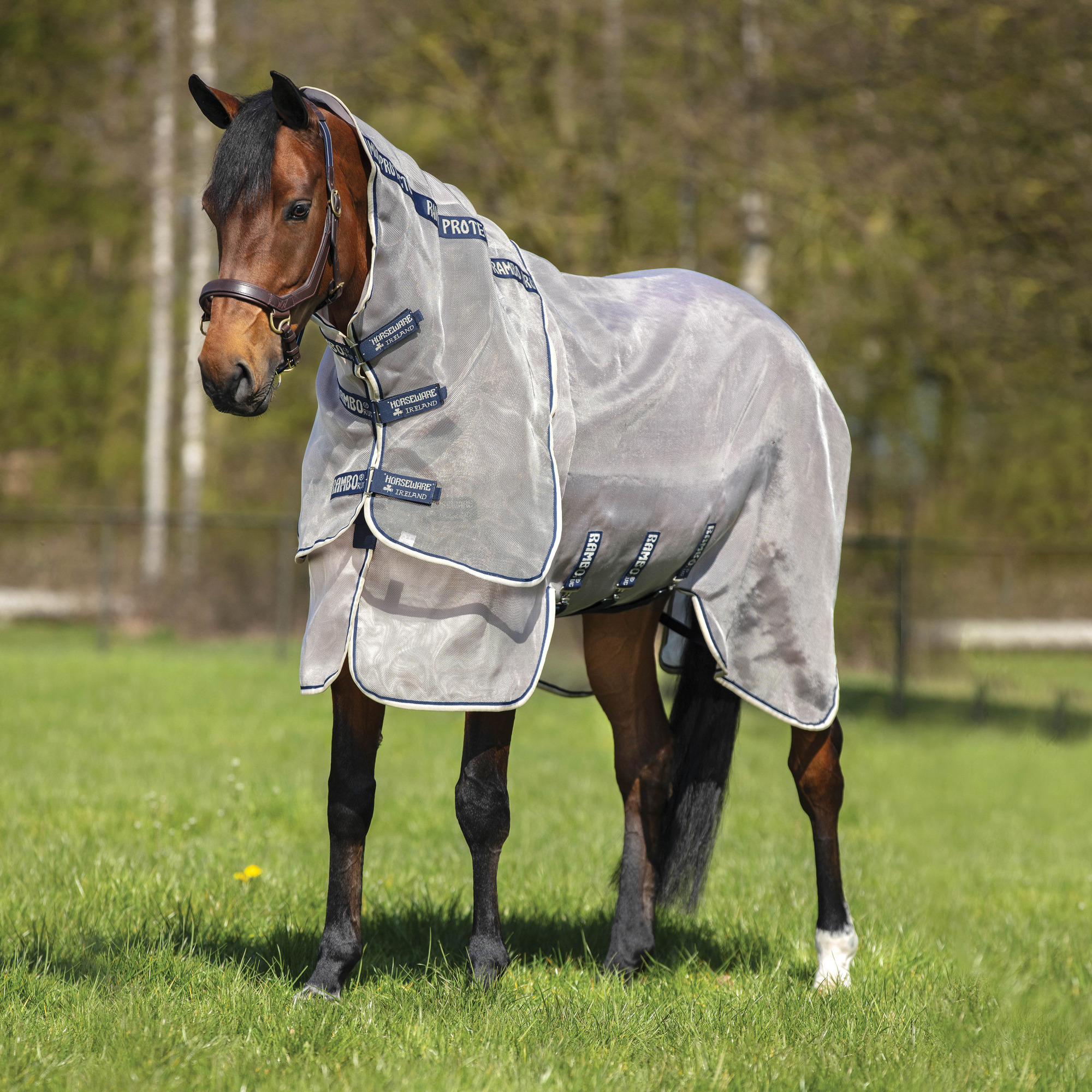 Rambo Protector Plus Fliegendecke
