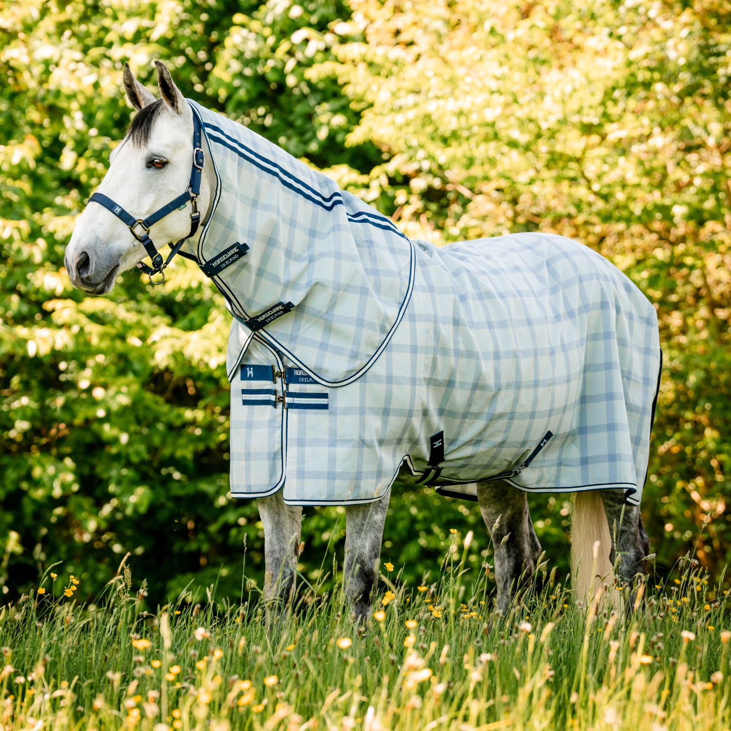 Horseware Newmarket Pony Plus Fliegendecke