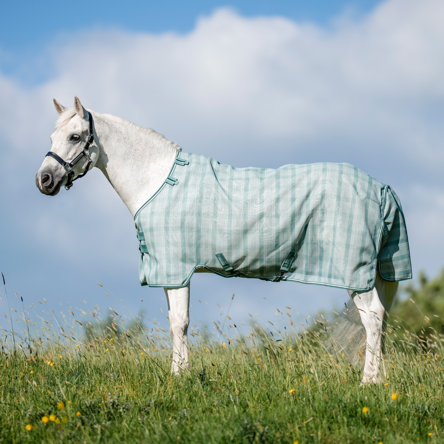 Horseware Newmarket Pony-Fliegendecke