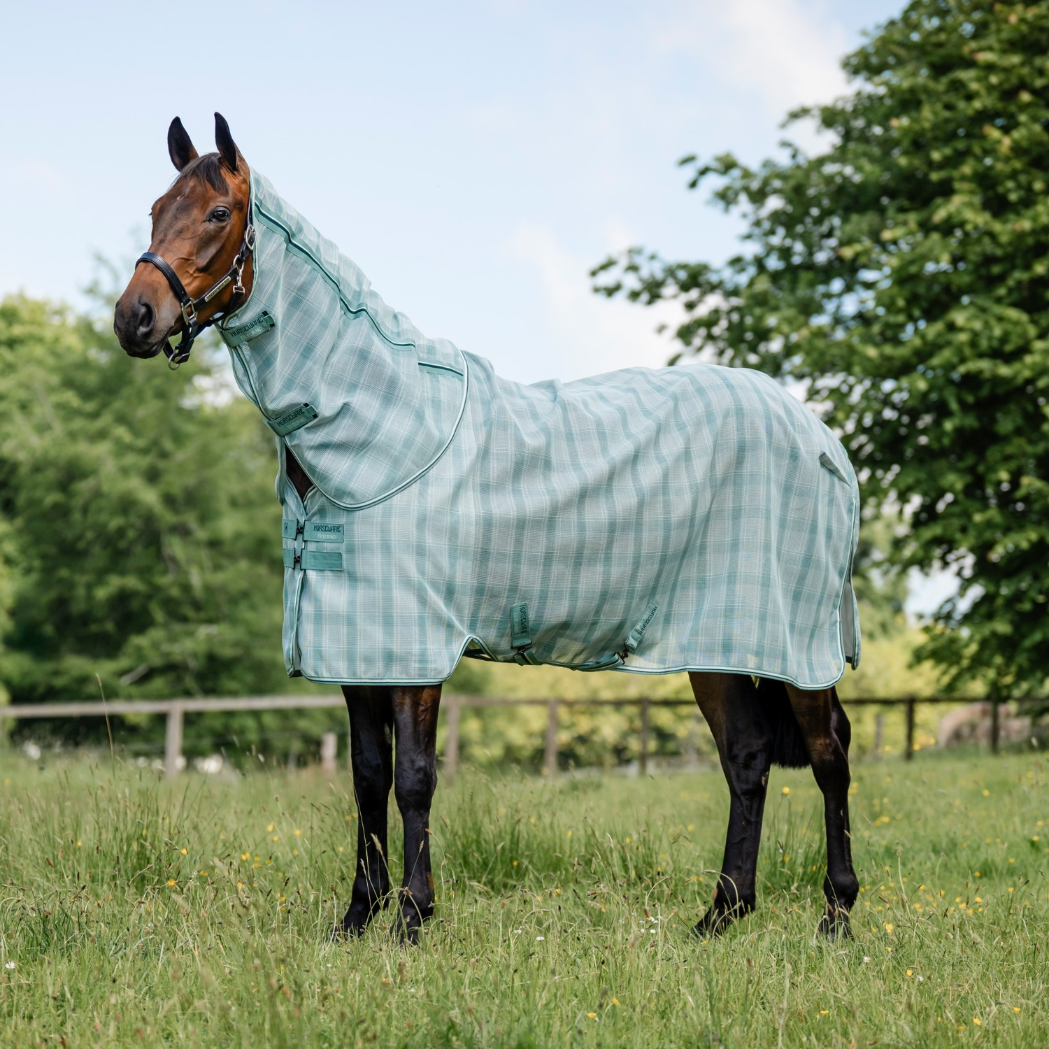 Horseware Newmarket Plus Fliegendecke