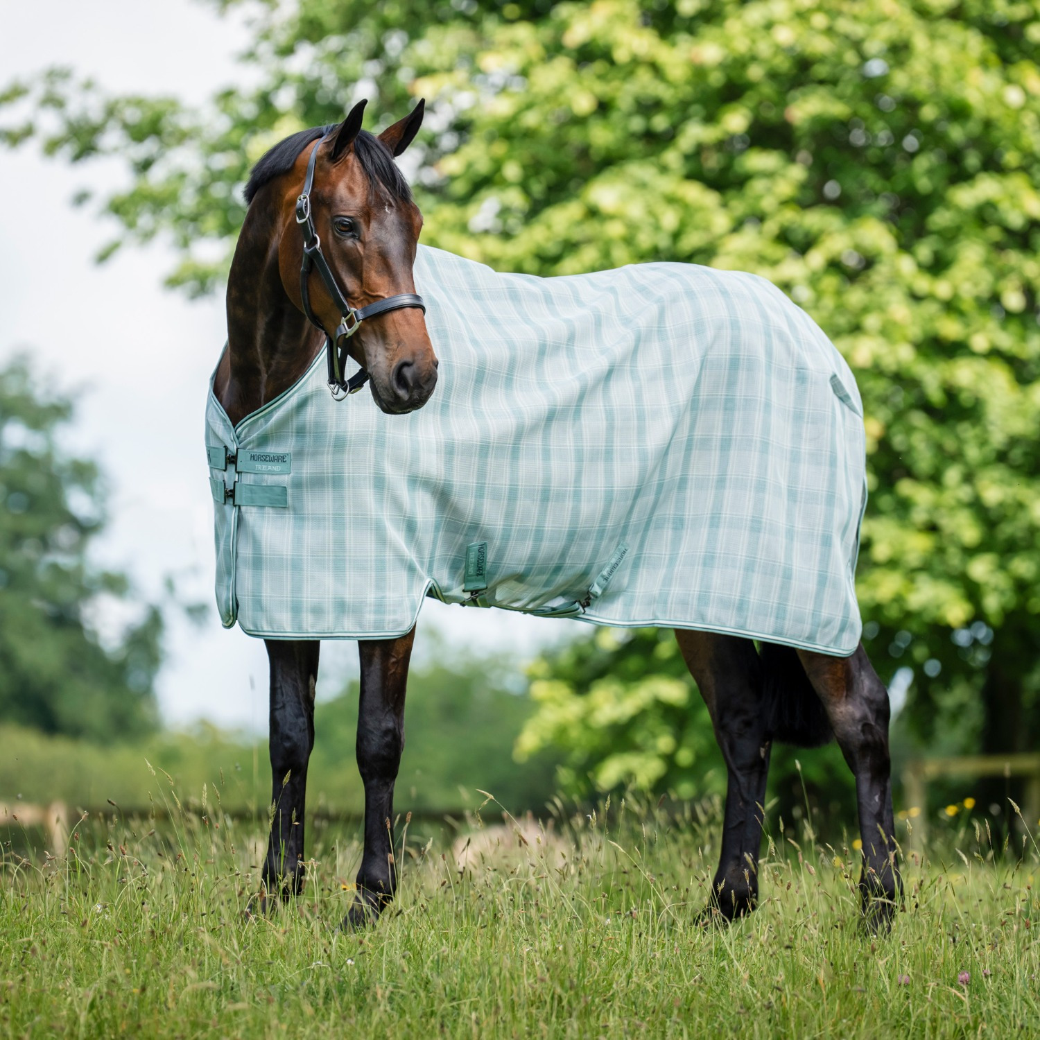 Horseware Newmarket Fliegendecke
