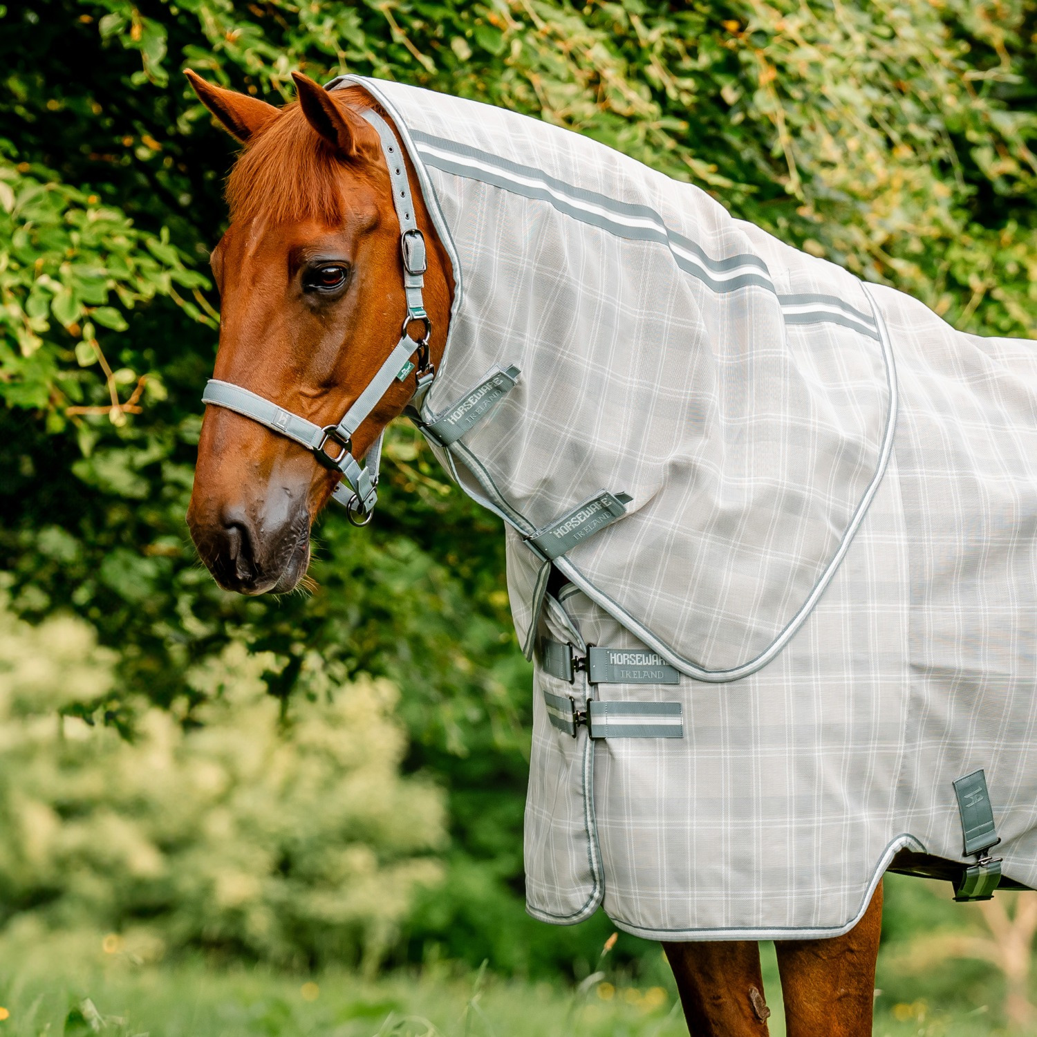 Horseware Newmarket Fliegendecke Halsteil