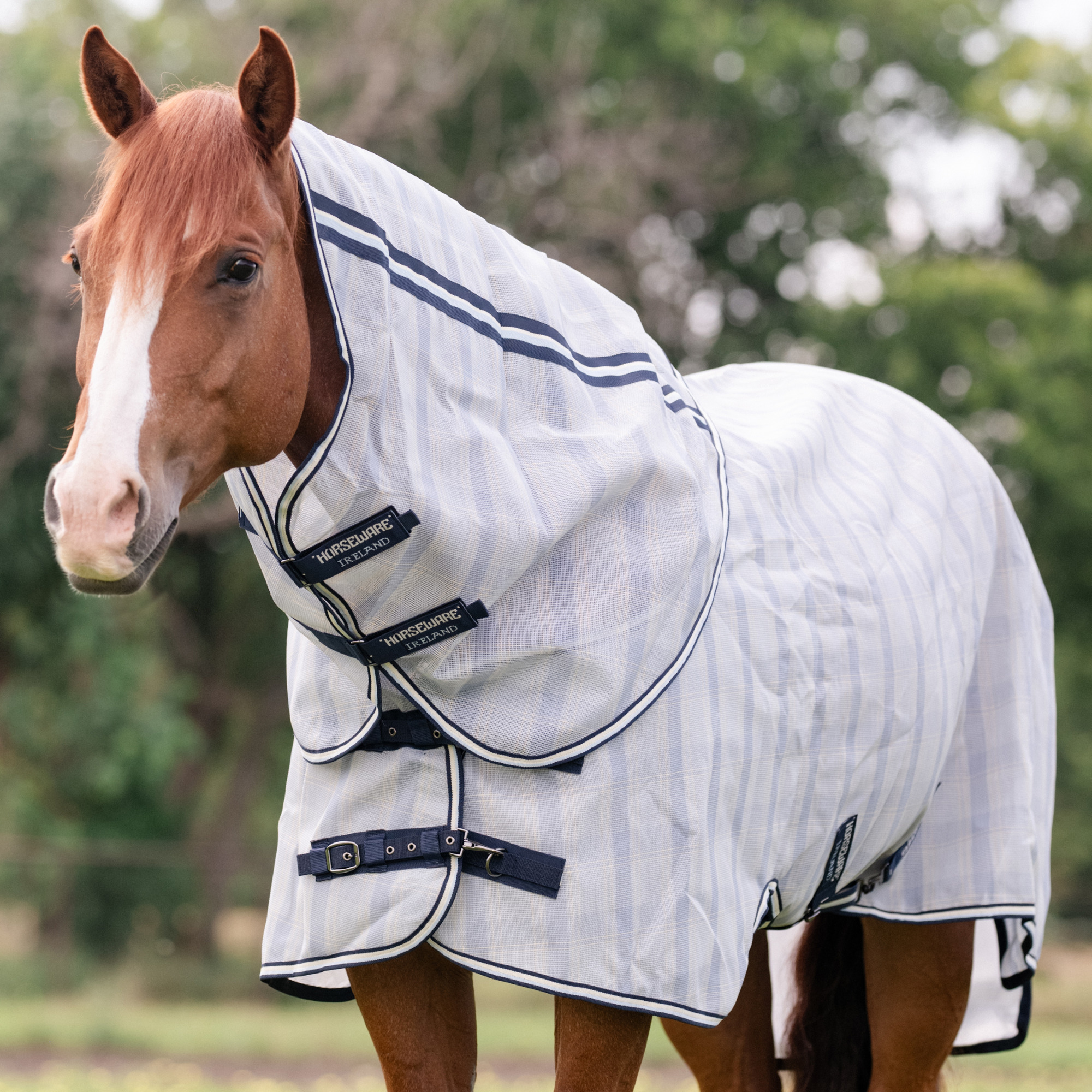 Horseware Newmarket Quarter Horse Plus Fliegendecke