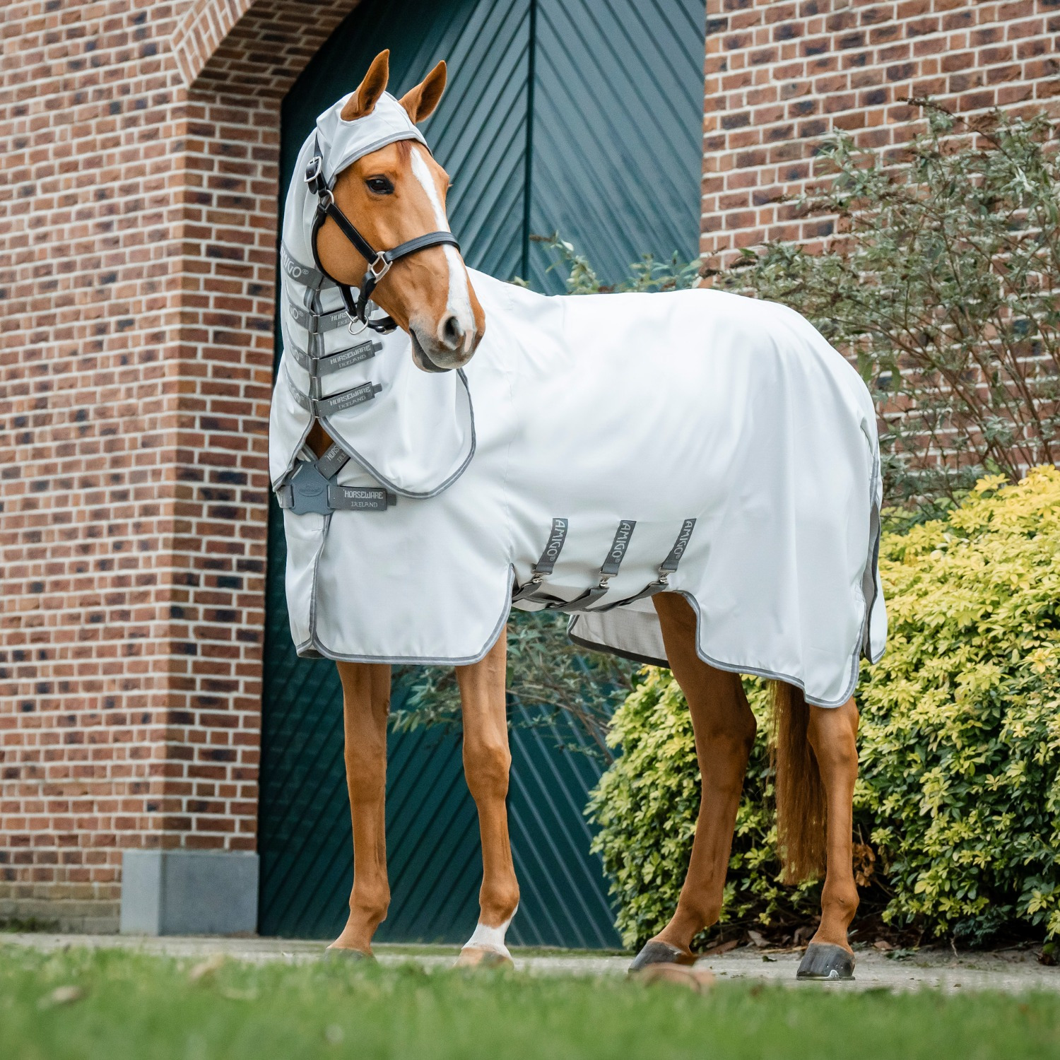 Amigo Ripstop Hoody (met buikflap)