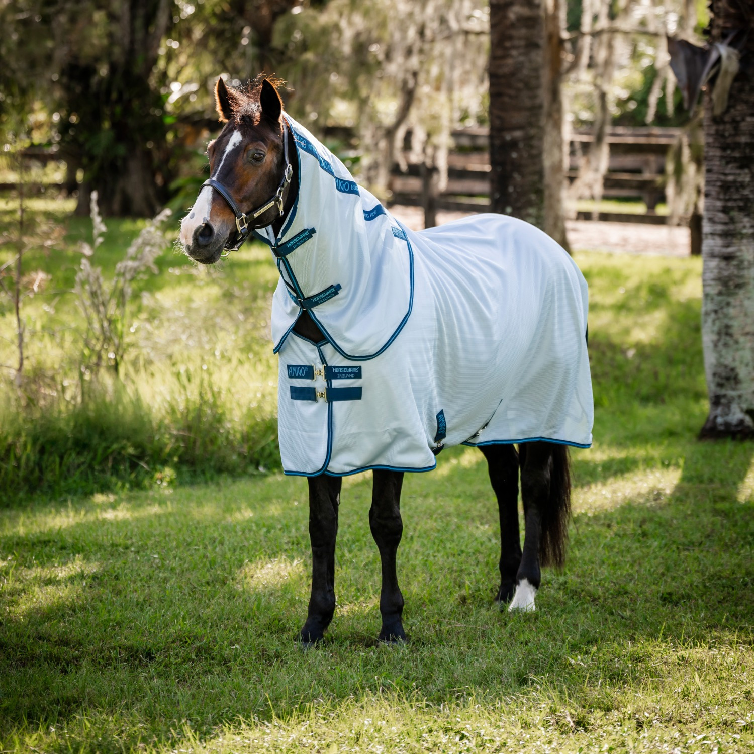 Amigo Bug Rug XL Plus