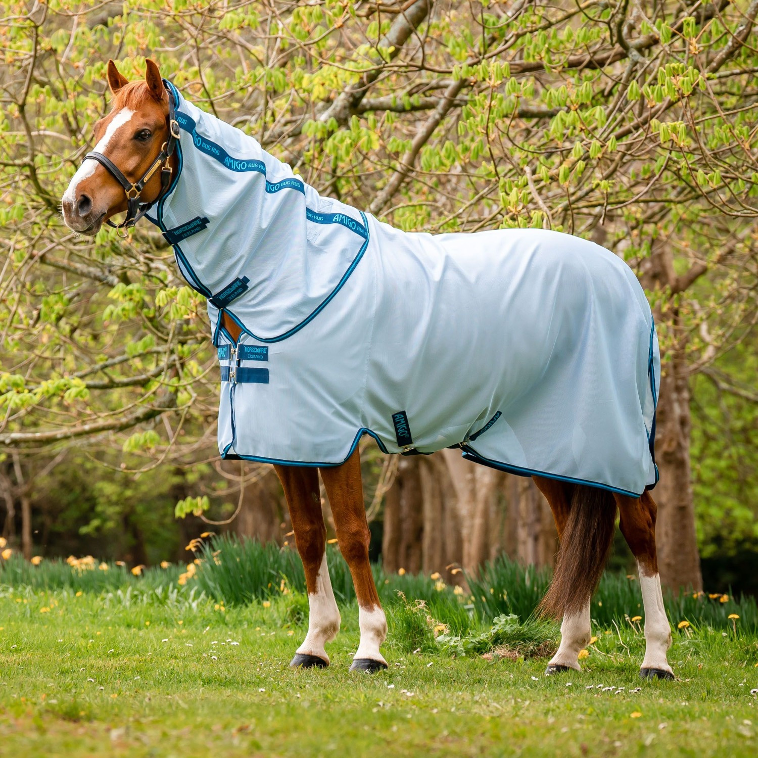 Amigo Bug Rug Fly Sheet