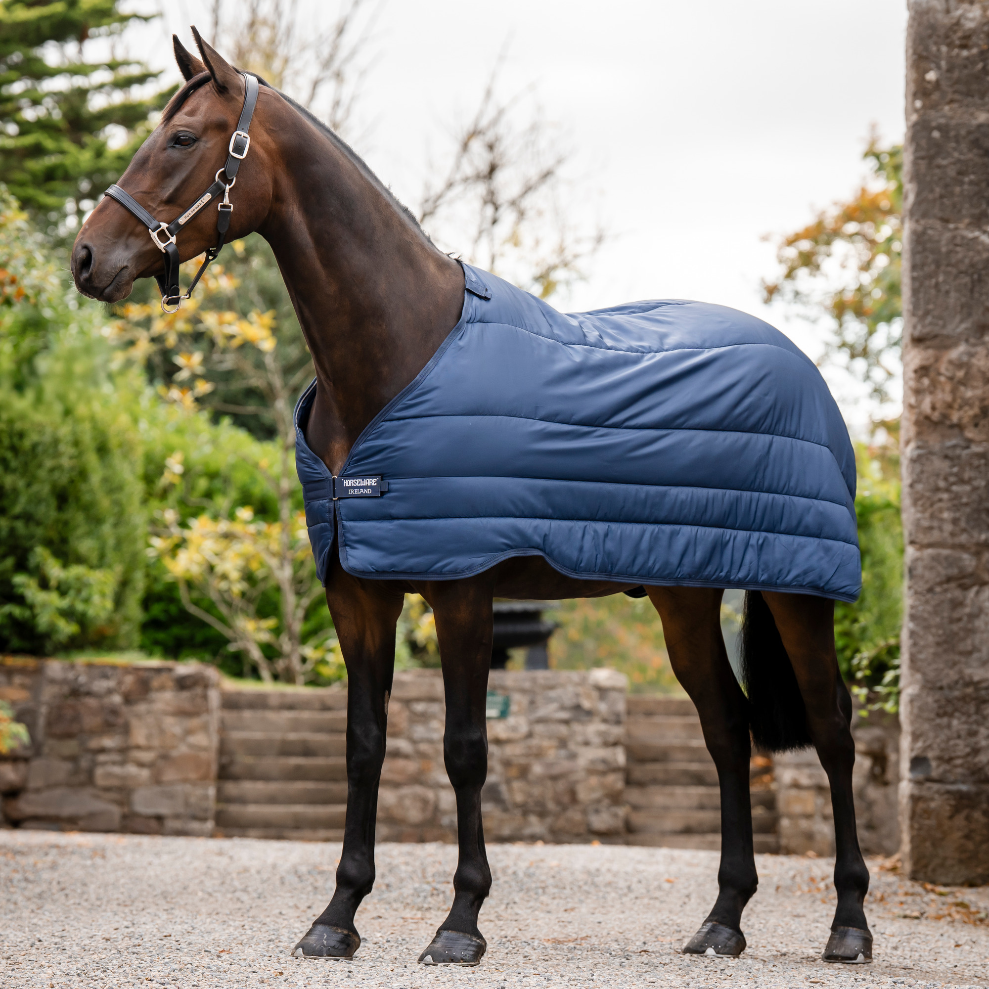 Horseware Unterdecke