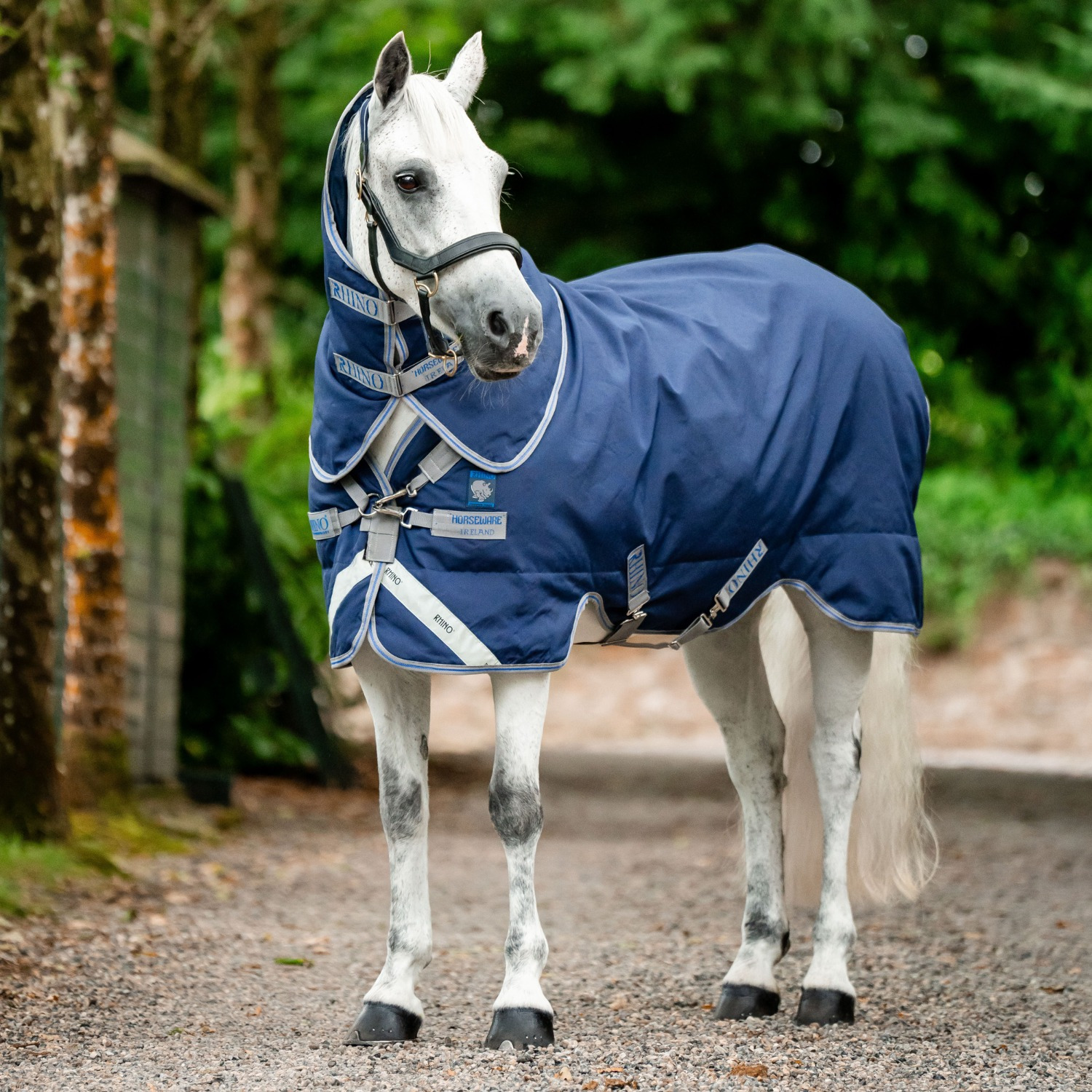Rhino Pony Plus