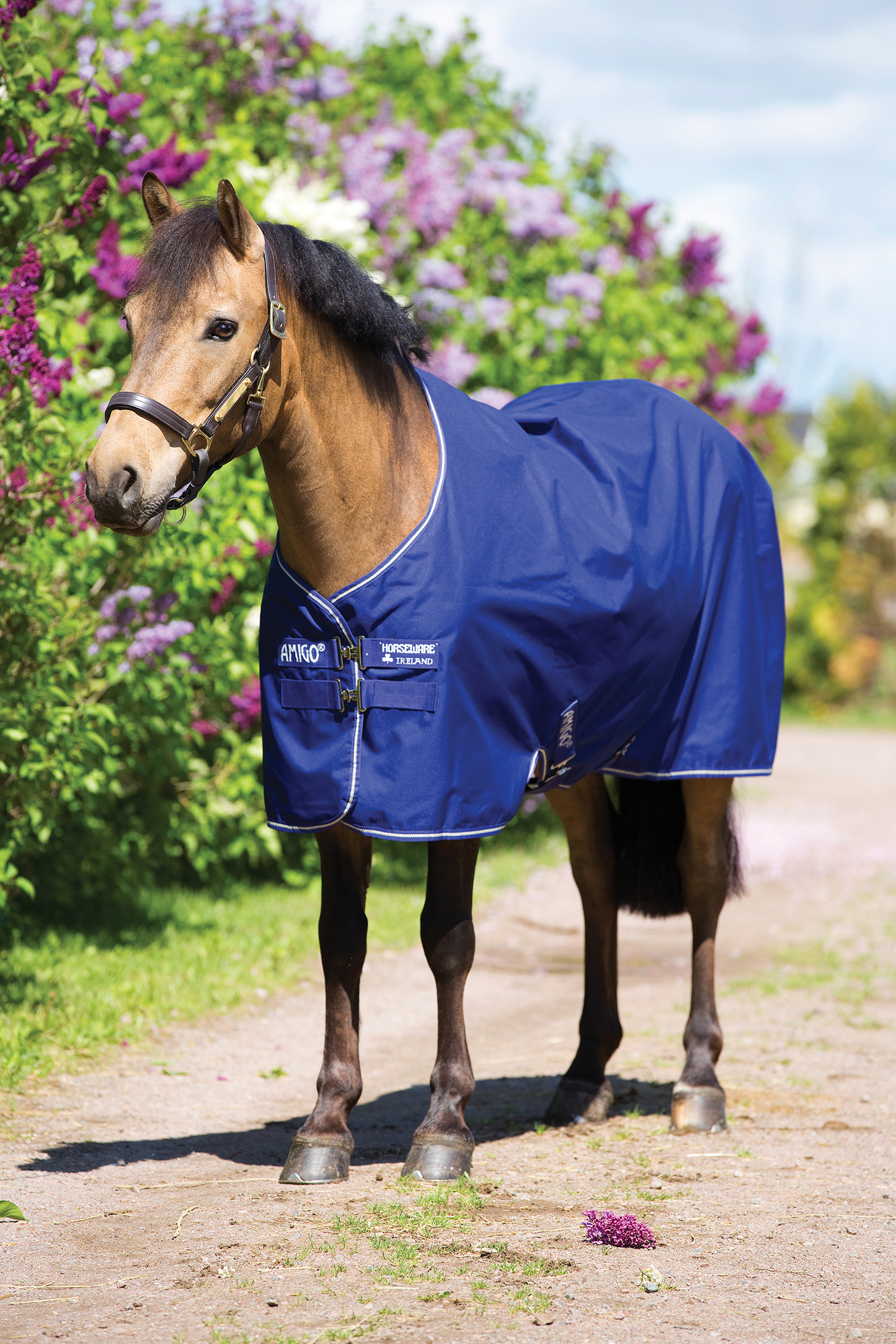 Amigo Hero 900 Pony Medium 200g