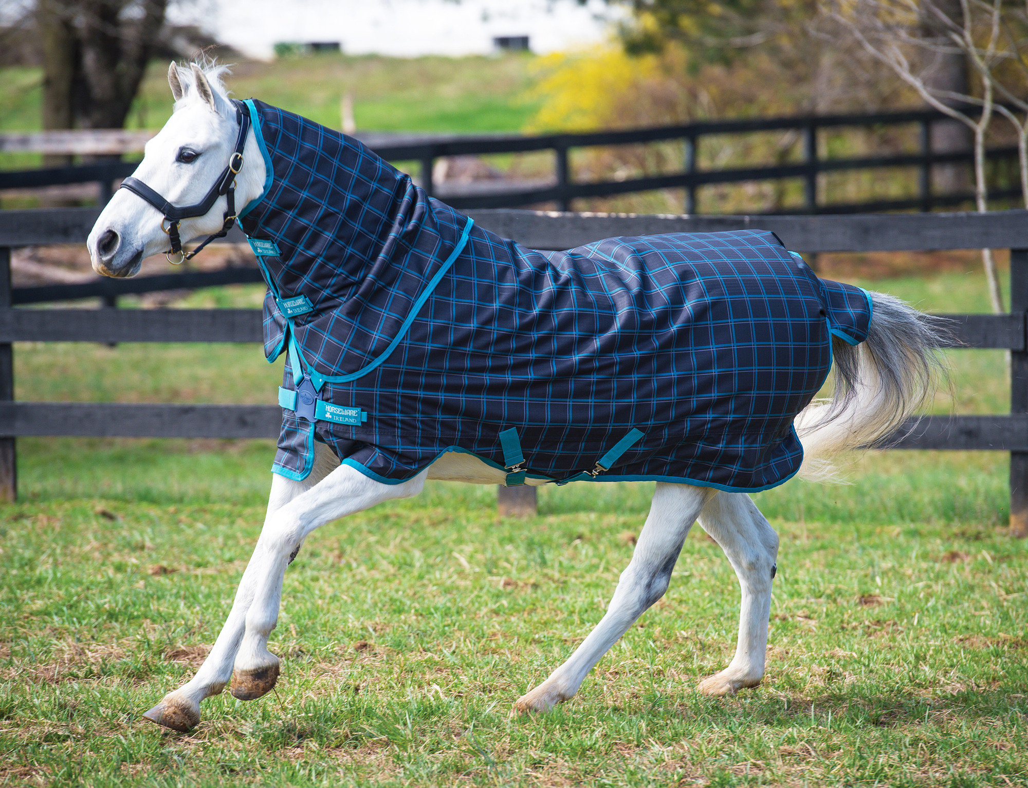 Amigo Pony Plus 50g
