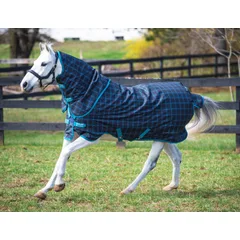 Amigo Pony Plus 50 g