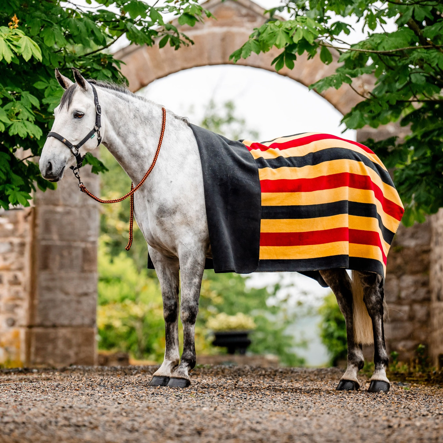 Horseware Newmarket-Fleece