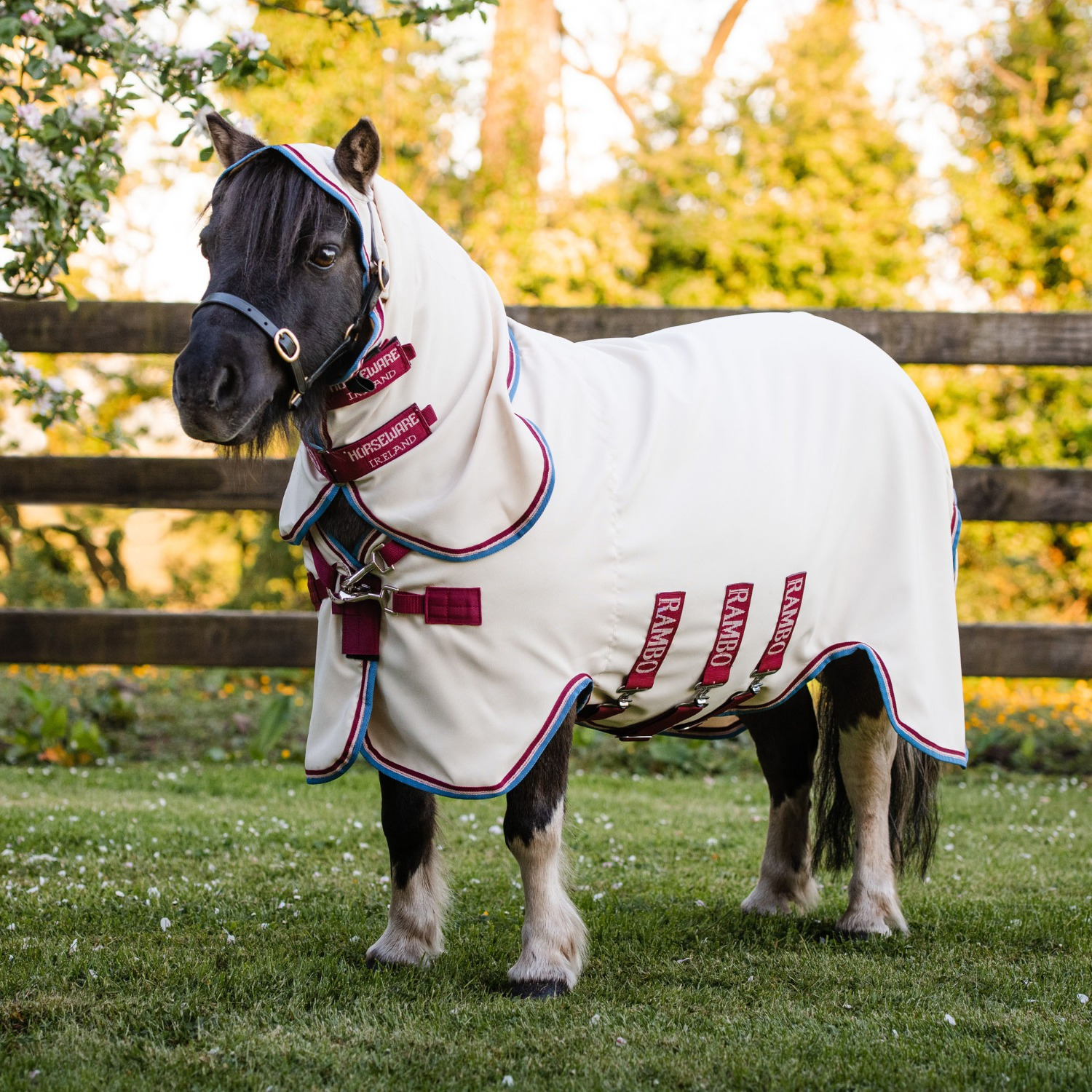 Rambo Petite Hoody Ekzemdecke