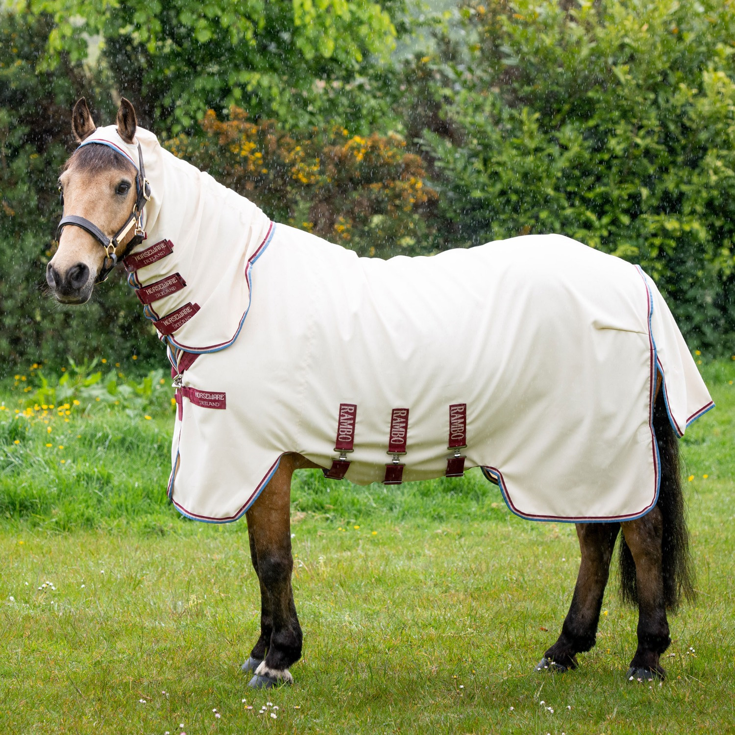 Rambo Pony-Hoodie