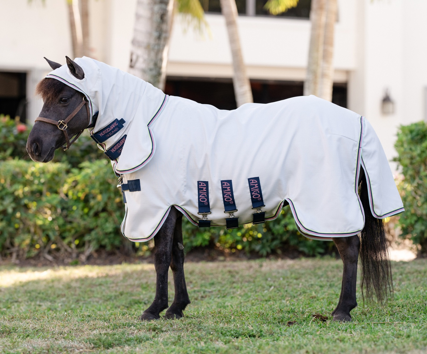Amigo Petite Ripstop Hoody