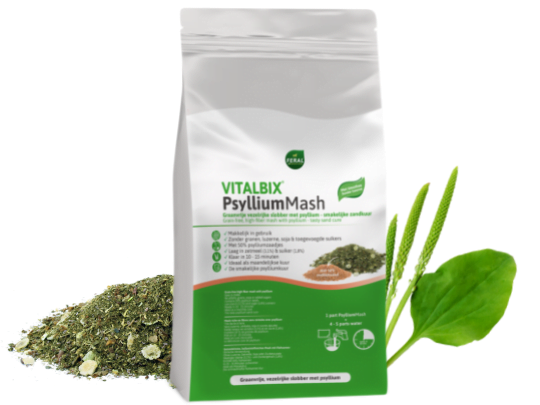 Vitalbix PsylliumMash 6KG