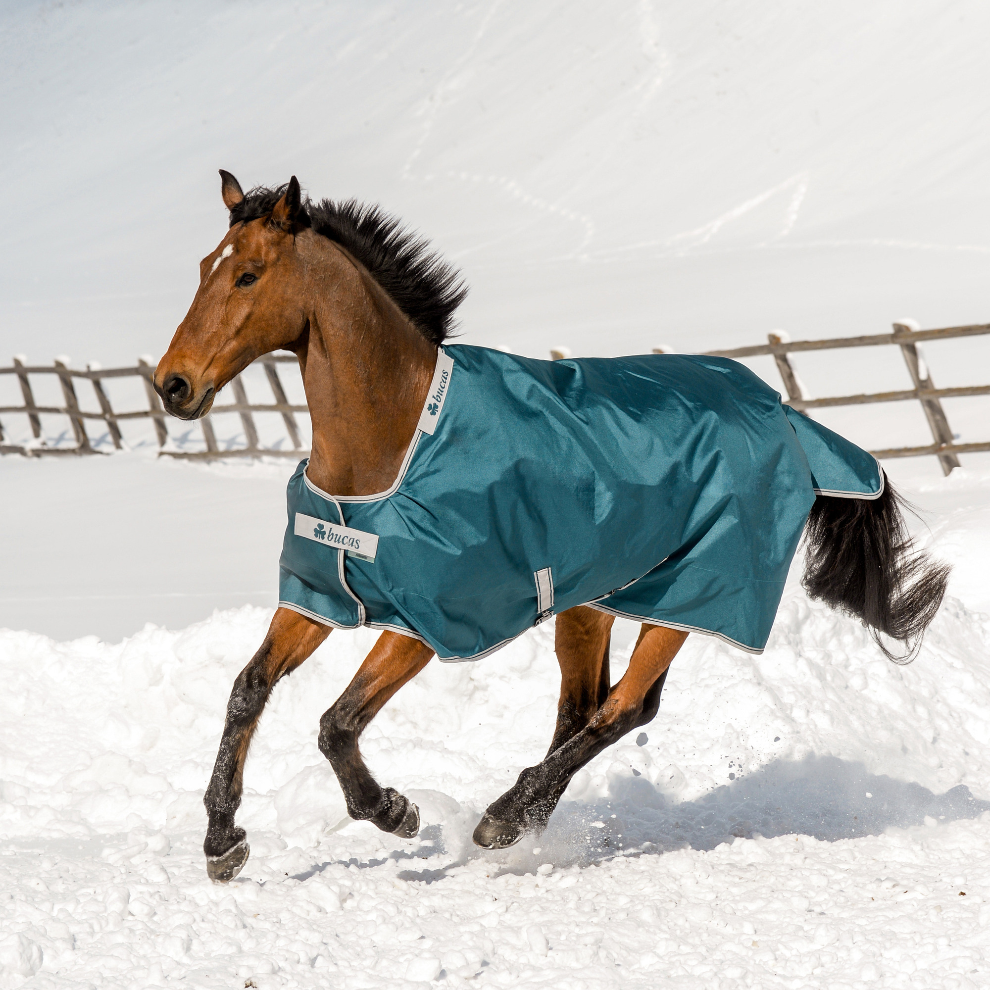 Bucas Atlantic Turnout Pony