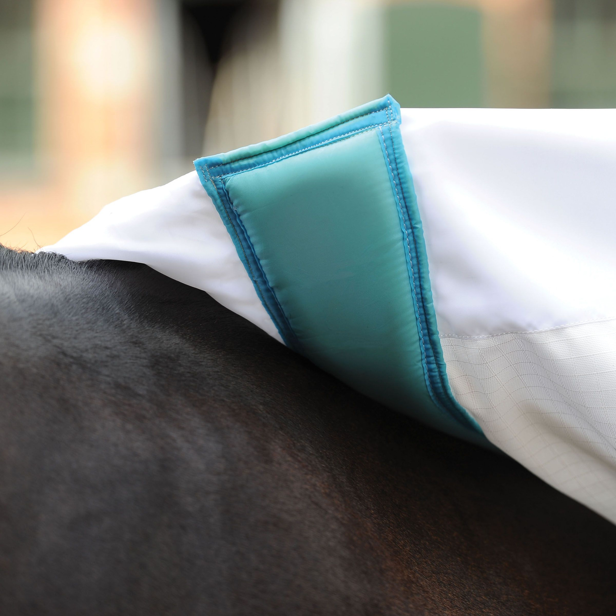 WeatherBeeta ComFiTec Sweet Itch Shield Combo Neck Eczema Rug