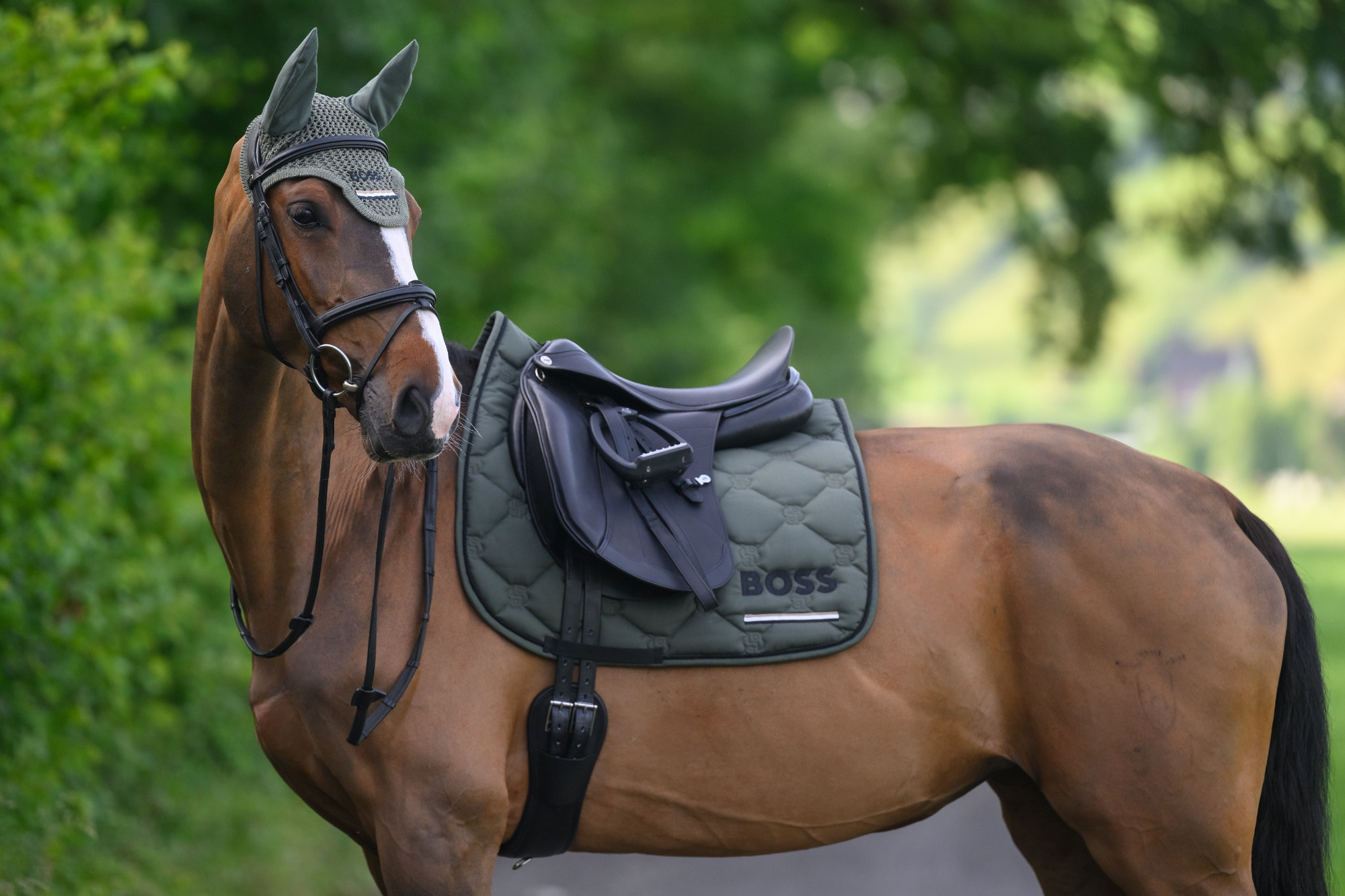 BOSS Equestrian SS26 Dressurschabracke Cambridge Tape