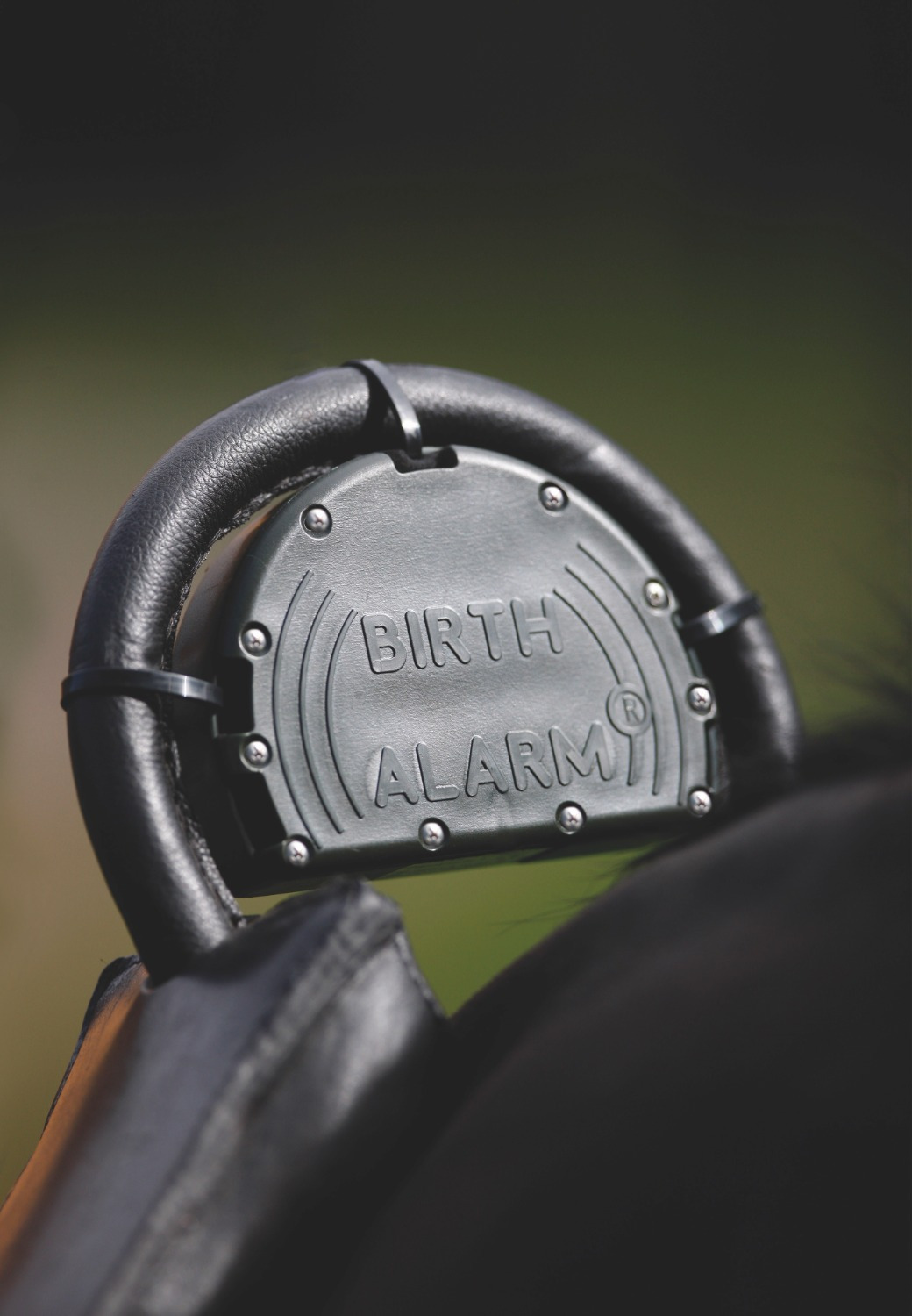 Birth Alarm Mobile 2.0