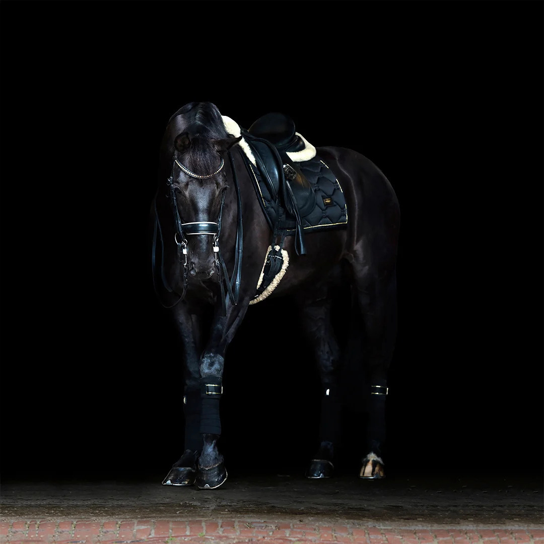 Equestrian Stockholm SS'23 Black Edition Gold Dressage Saddle Pad