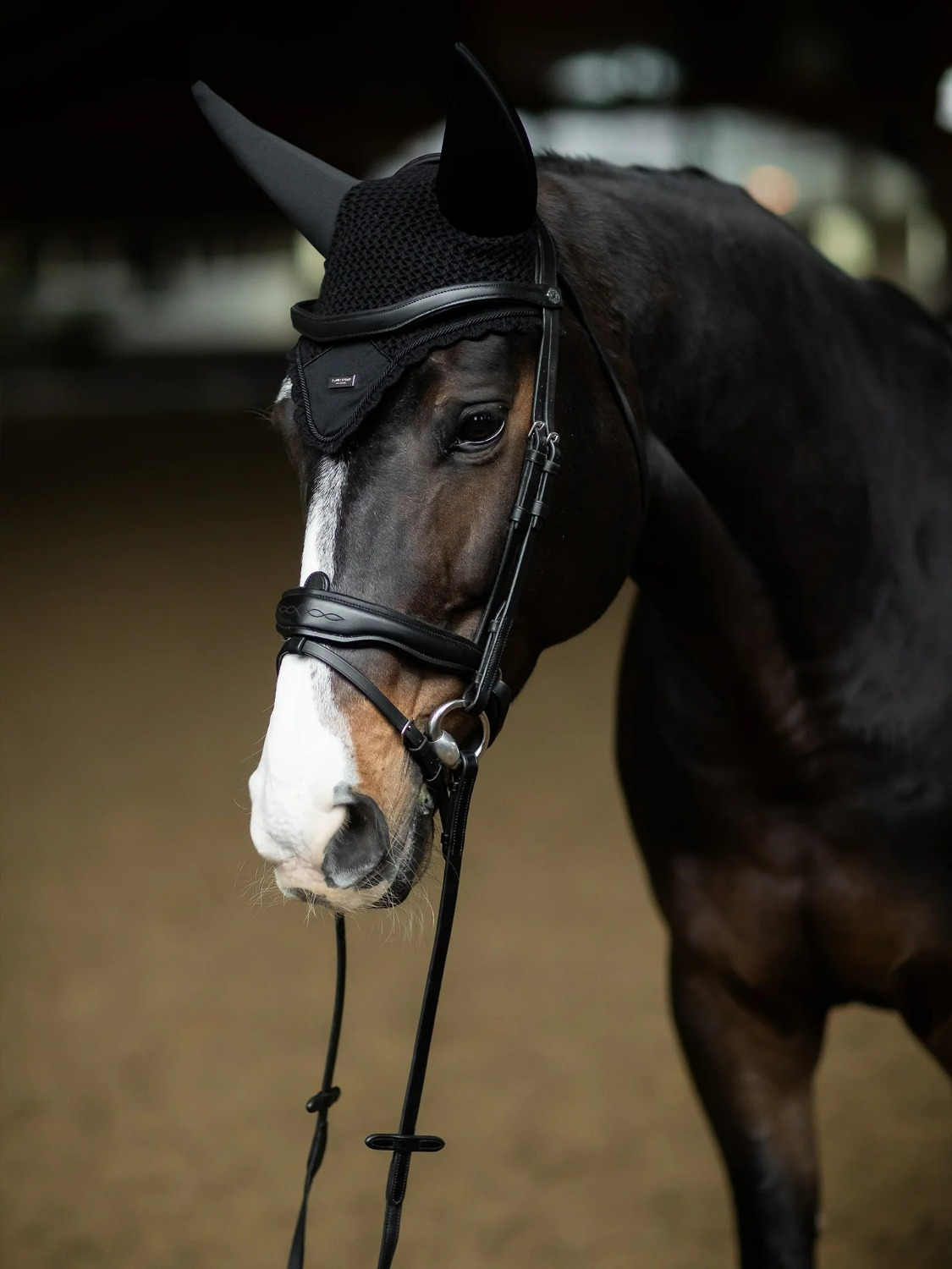 Equestrian Stockholm Black Silver Soundless Oornetje