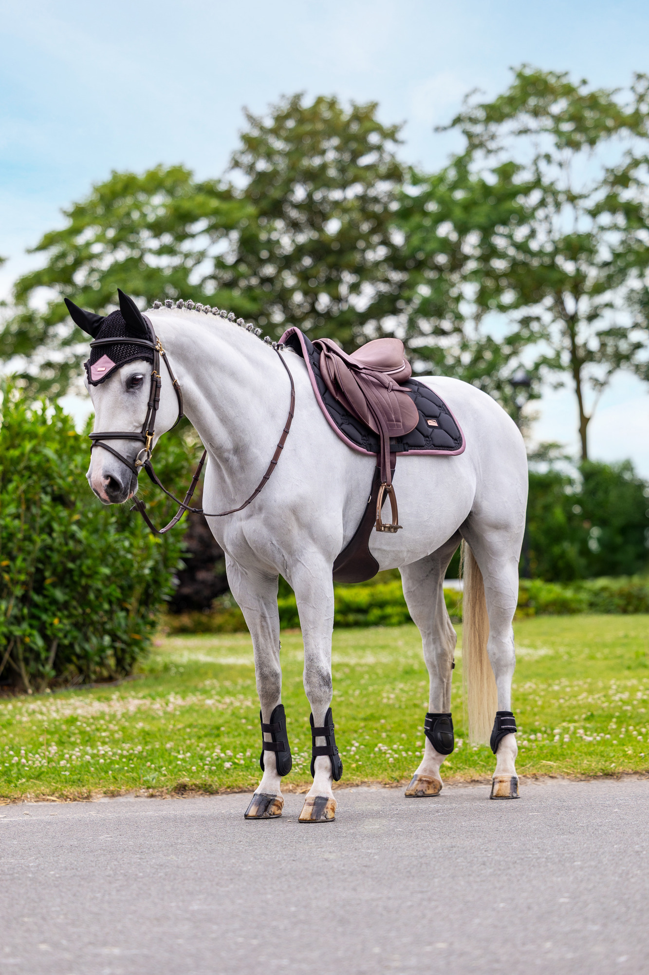 Equestrian Stockholm Black Blush Springdekje