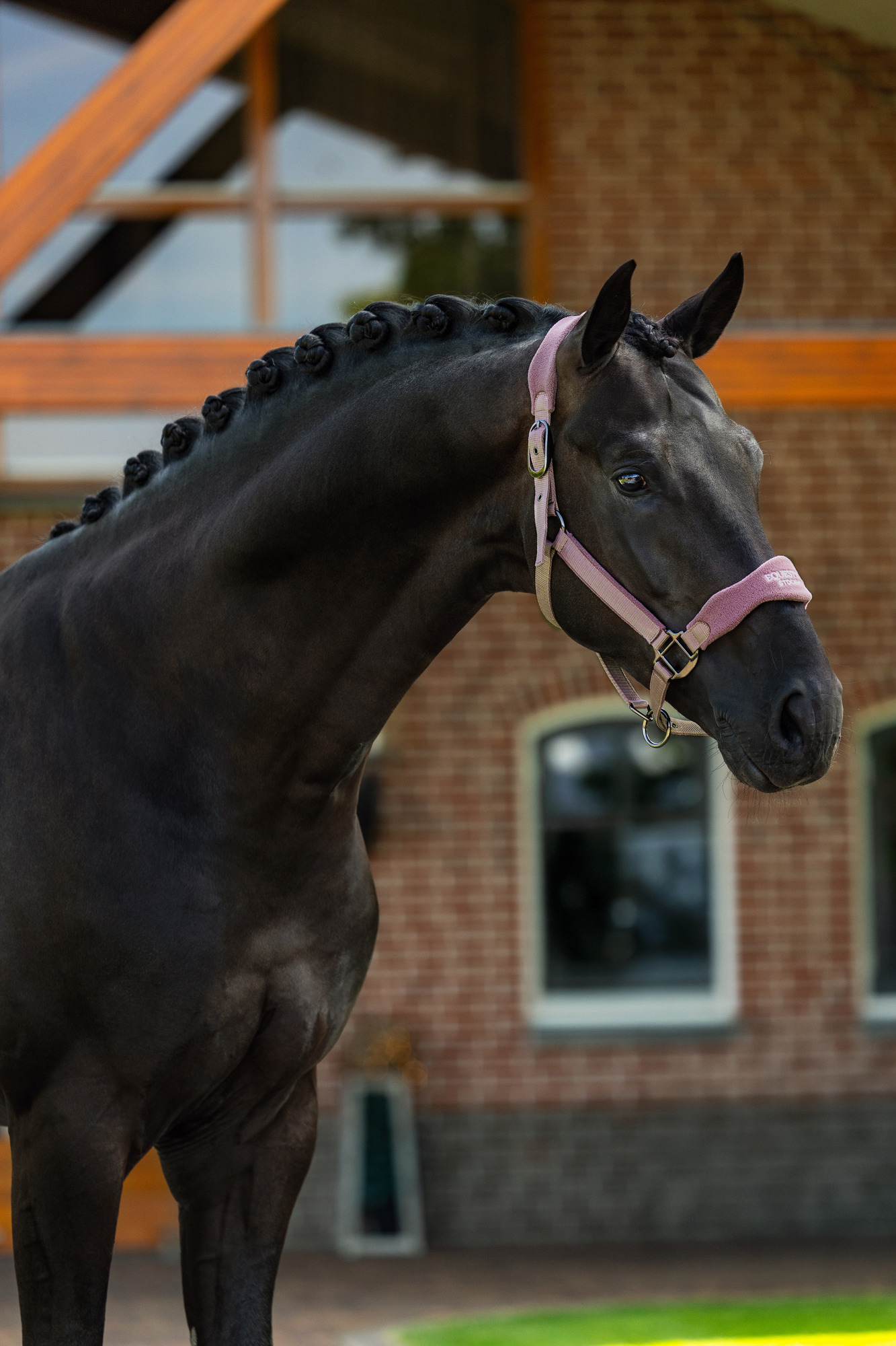 Equestrian Stockholm Black Blush Anatomic Fleece Halter