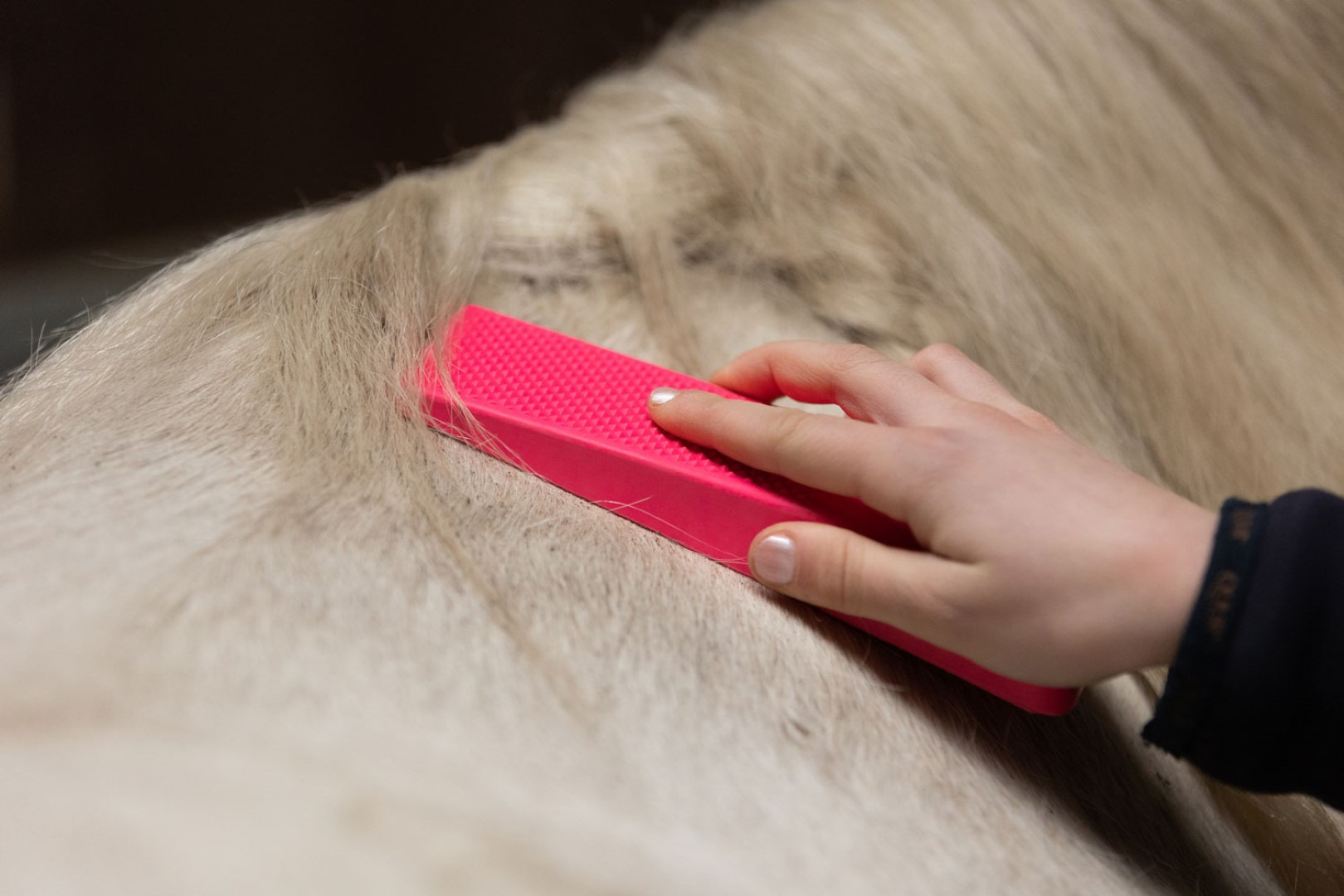 Excellent Horse Grooming Brush