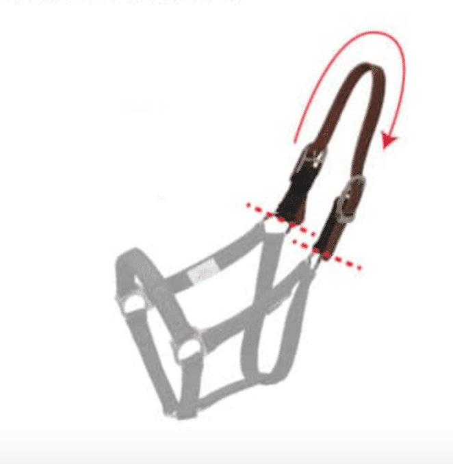 ThinLine Replacement Breakaway Halter Part / Crownpiece