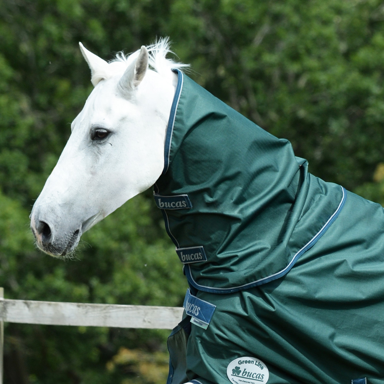 Bucas Green-Line Combi-Neck