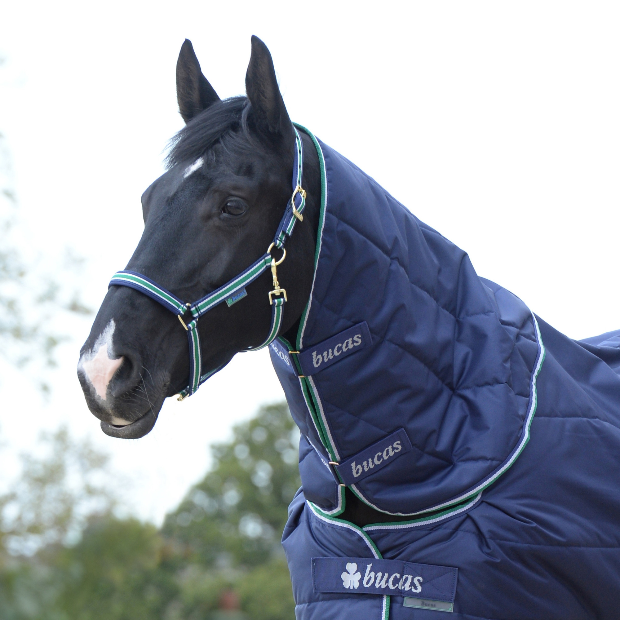 Bucas Quilt Neck Blauw