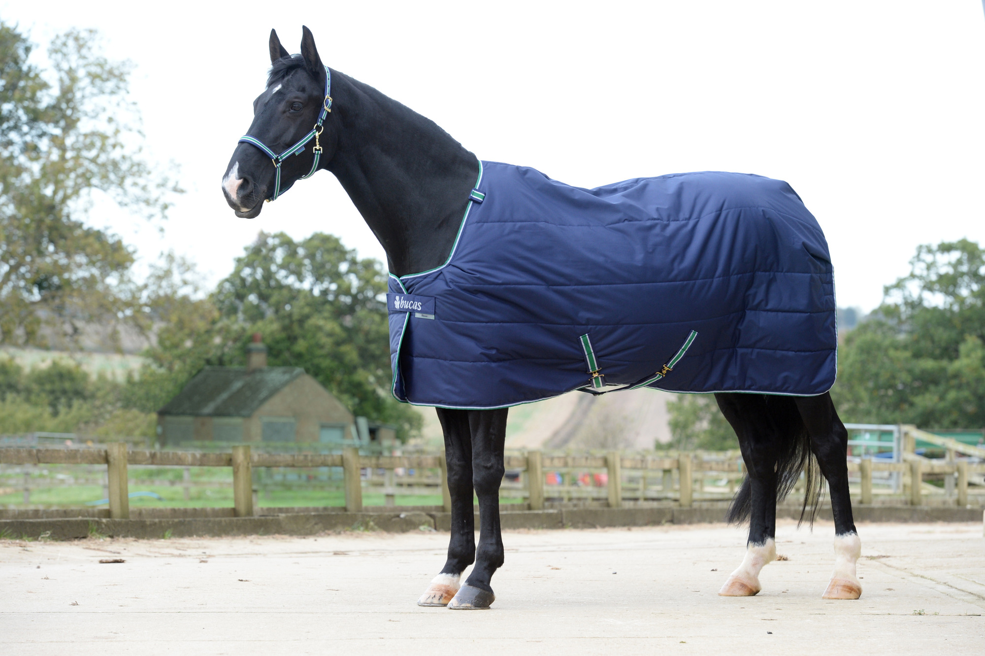 Bucas Quilt Stay-Dry Stal / onderdeken