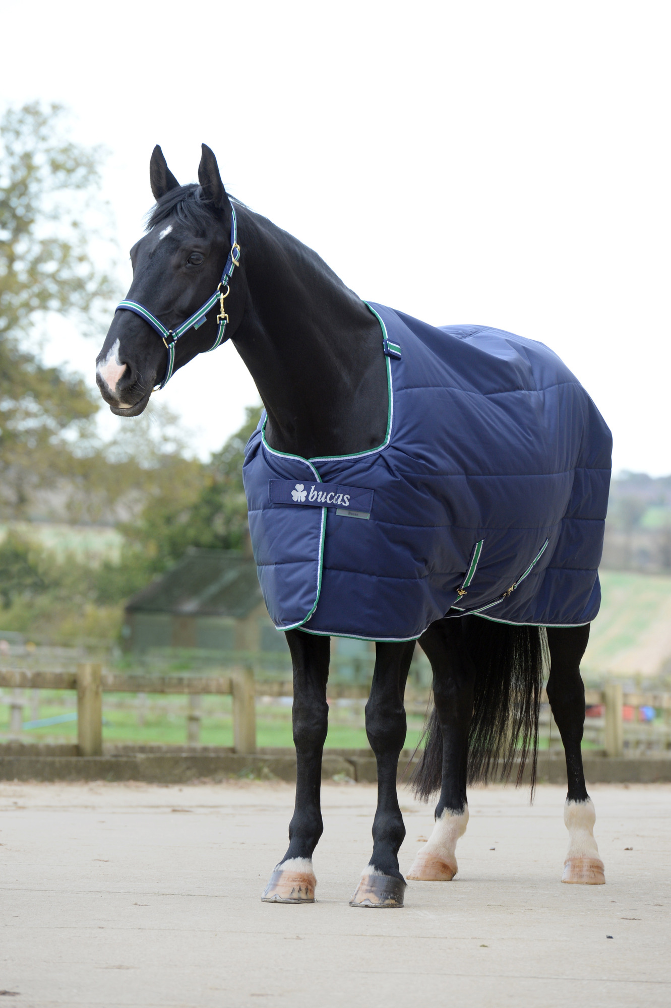 Bucas Quilt Silk-feel Stal / onderdeken