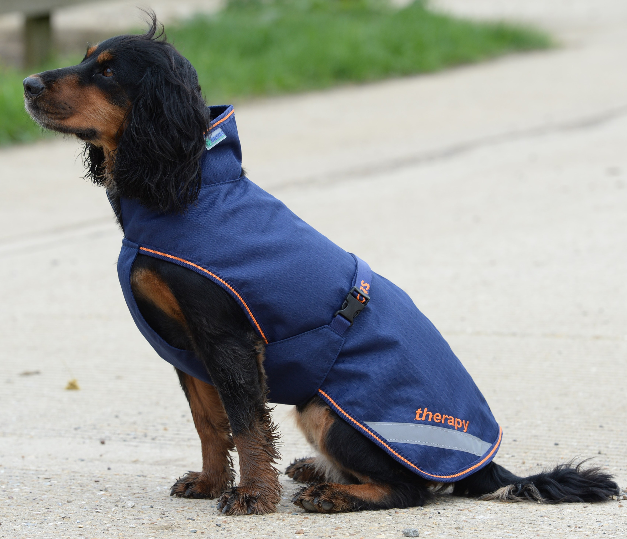 Bucas Therapy Dog Rug 300g