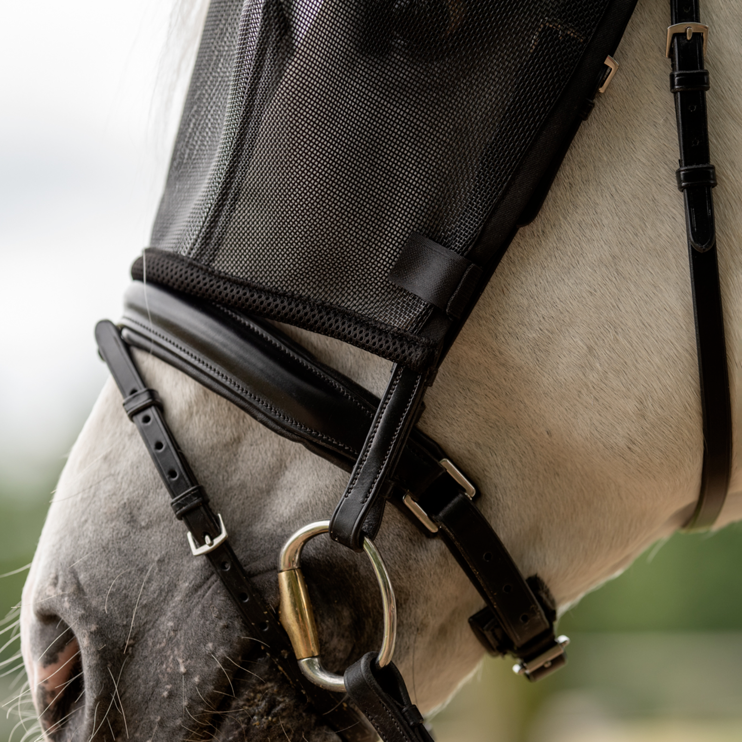 Busse Vliegenmasker Riding