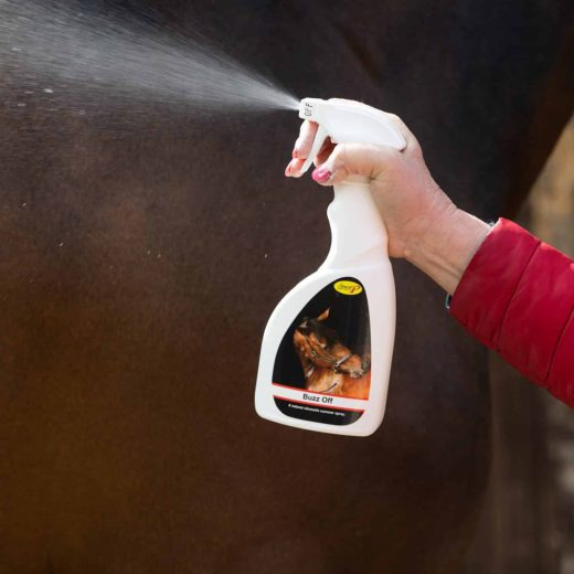 Smart Grooming Buzz off