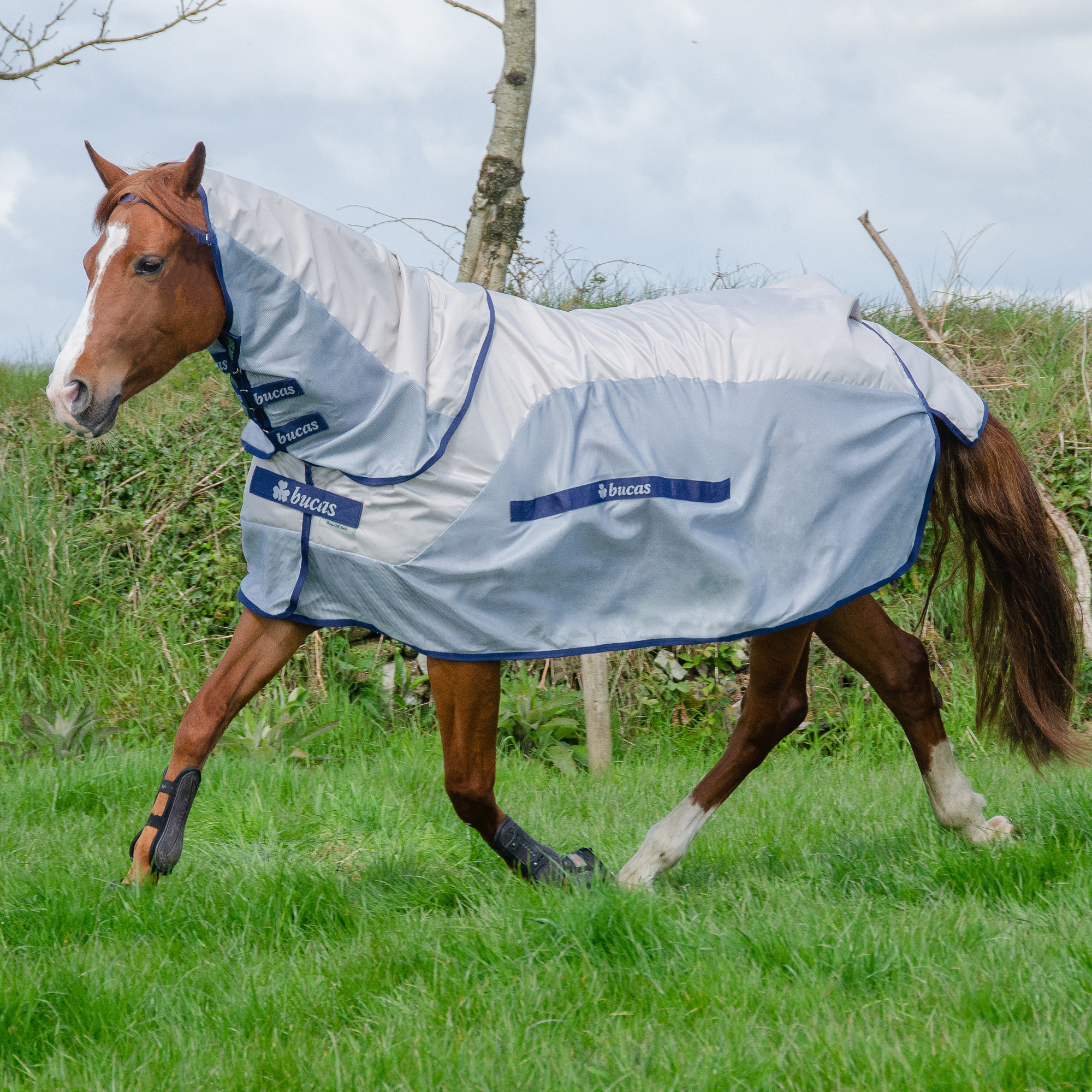 Bucas Buzz-off Rain Met Afneembare Hals