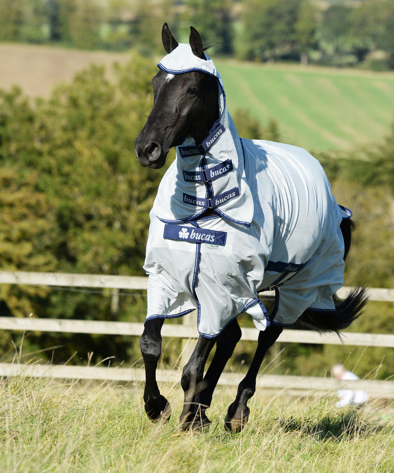 Bucas Buzz-Off X Big Neck Fly Sheet