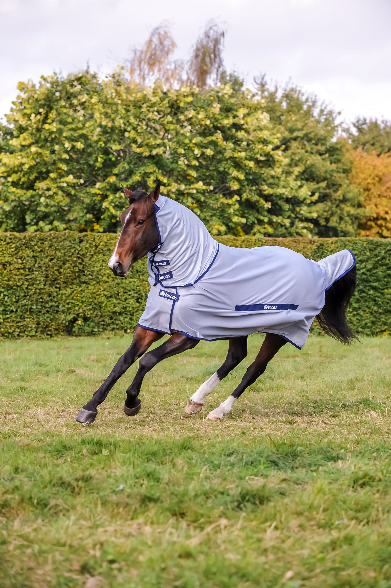 Bucas Buzz-Off Full Neck Pony