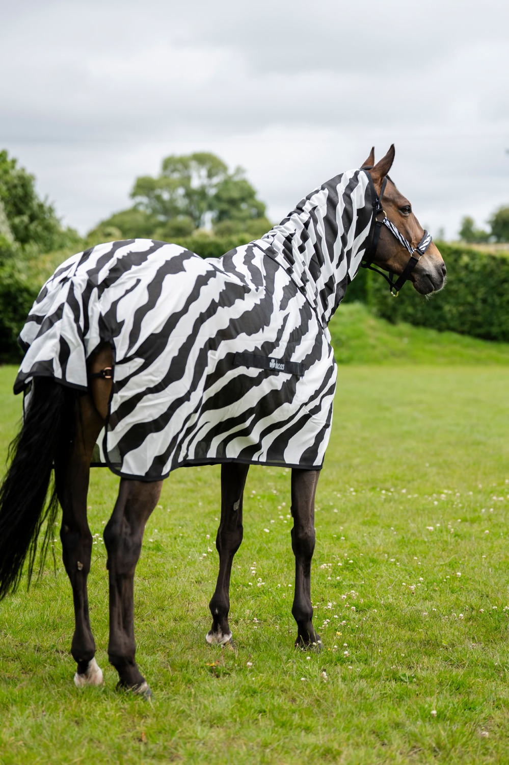 Bucas Buzz-Off Zebra Met Afneembare Hals