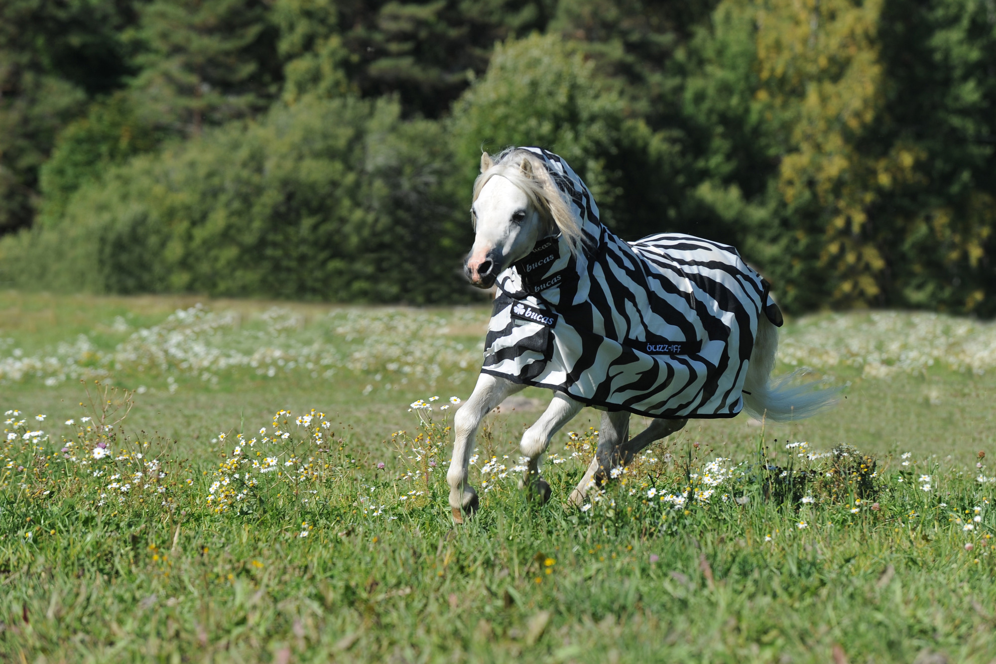 Bucas Buzz-Off Zebra Full Neck Pony