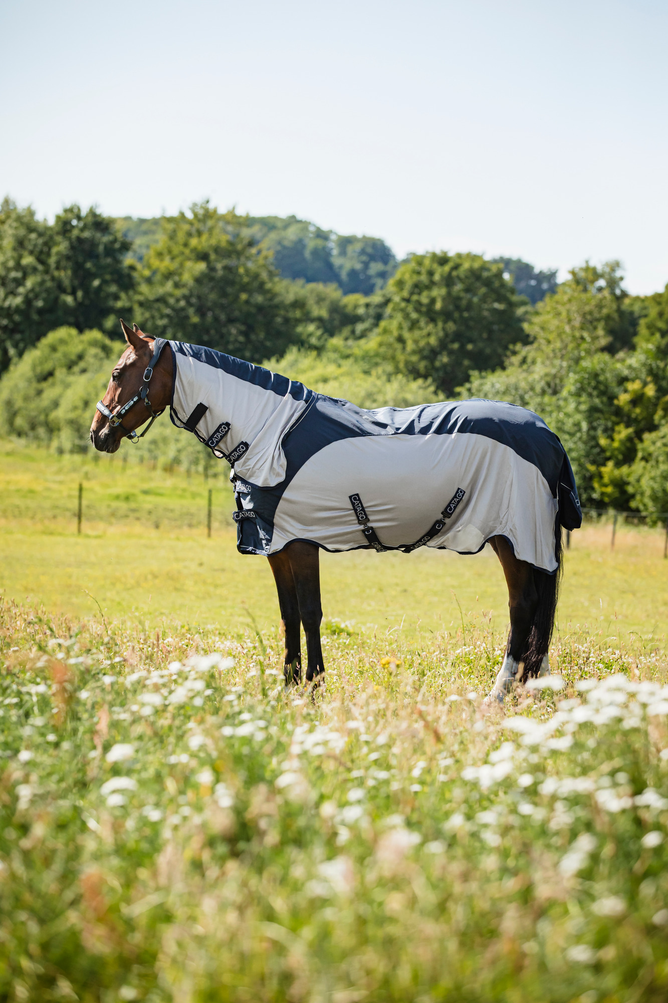 Catago Taylin Rain & Fly blanket