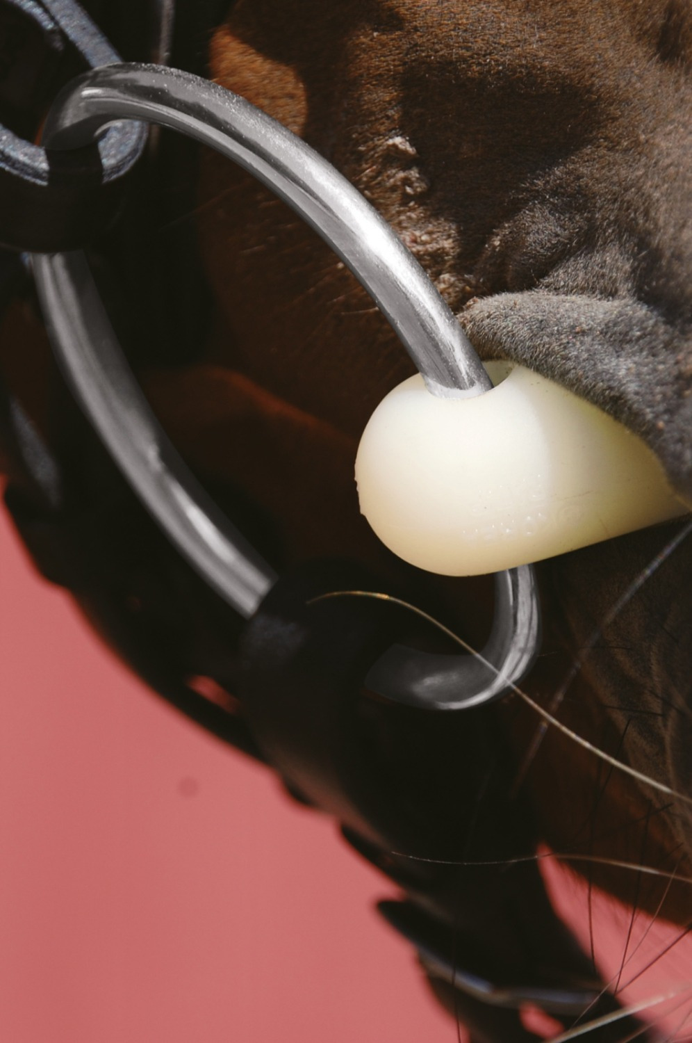 Happy Mouth Double Jointed Loose Ring Snaffle Bit
