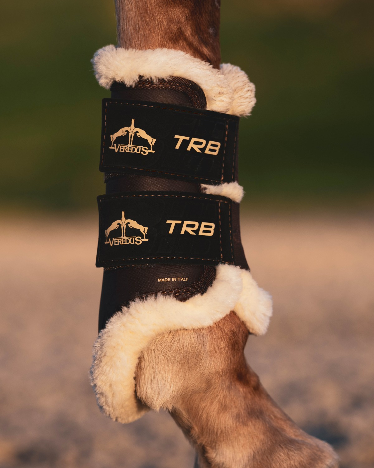 Veredus Beenbeschermers TRB Save the Sheep