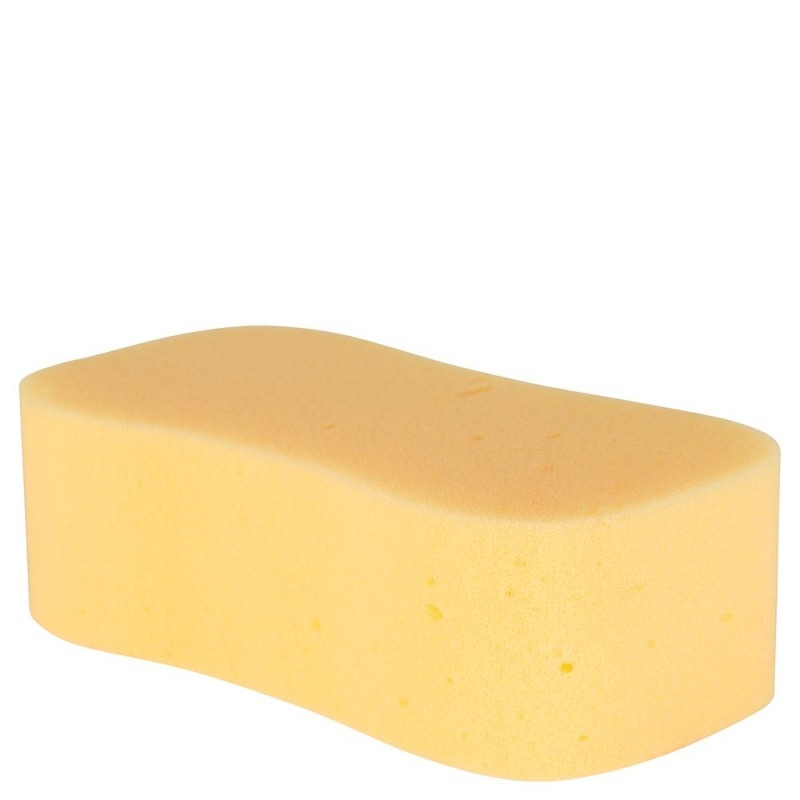 Carr & Day & Martin sponge