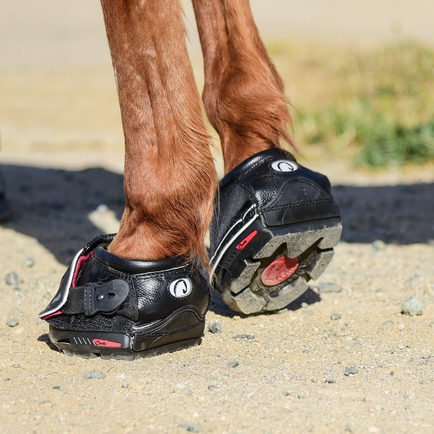 FRA Cavallo Hufschuhe SPORT SLIM
