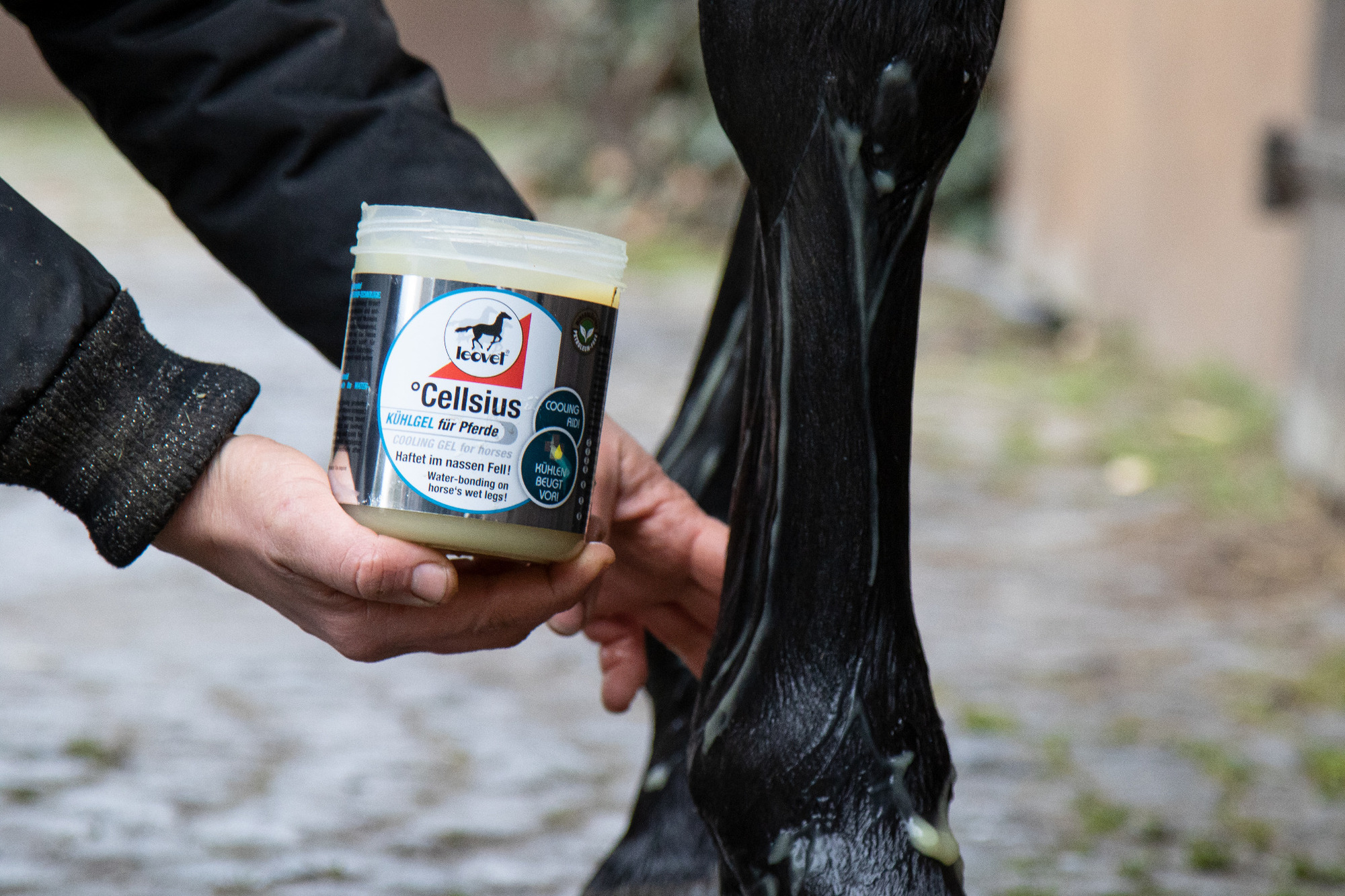 Leovet Cellsius Gel 600 ml