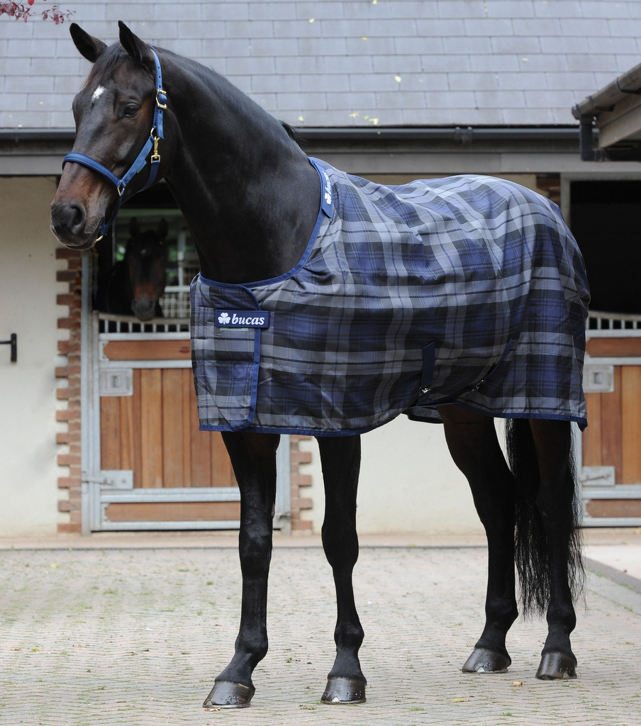 Bucas Celtic Stable Medium Tartan
